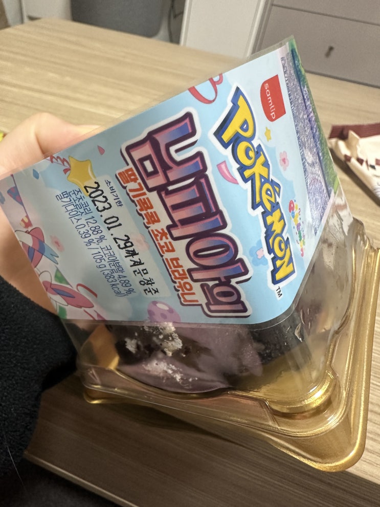  별거 없는 주말일상, 고전게임& 신상포켓몬빵 님피아의 딸기콕콕 초코브라우니