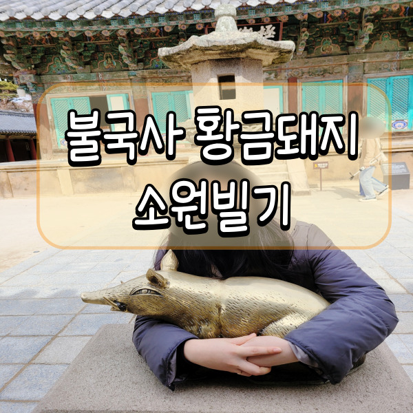  불국사 황금돼지 찾아 소원빌기