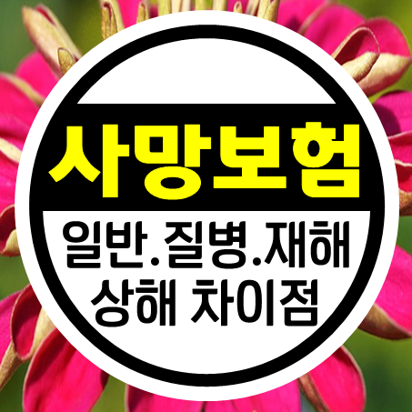  일반사망보험금 가입과 질병사망보험 재해 상해사망보험의 차이점 알려드릴게요.