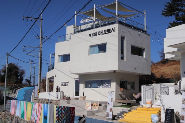  거제 애견동반 카페 매오로시 오션뷰 브런치 맛집