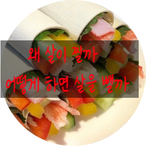  왜 살이 찔까/어떻게 하면 살을 뺄까/무엇이 먼저일까