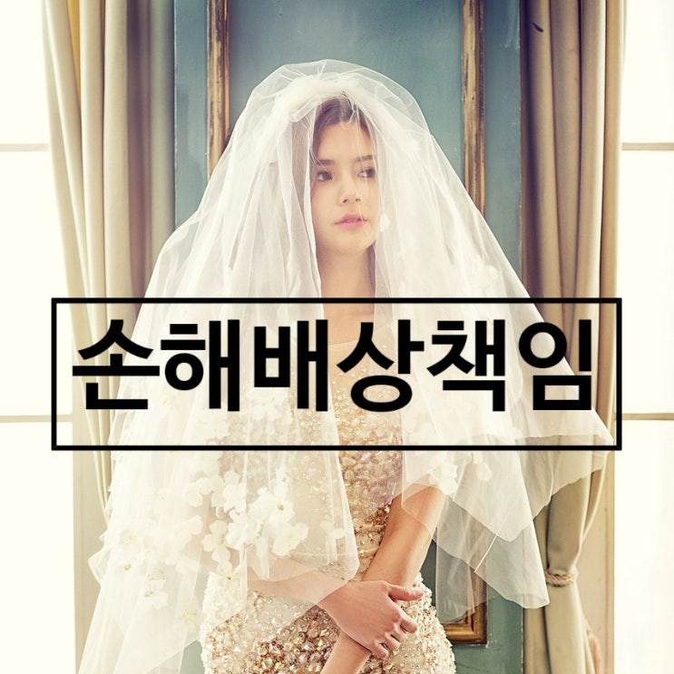  중개사법/ 손해배상책임