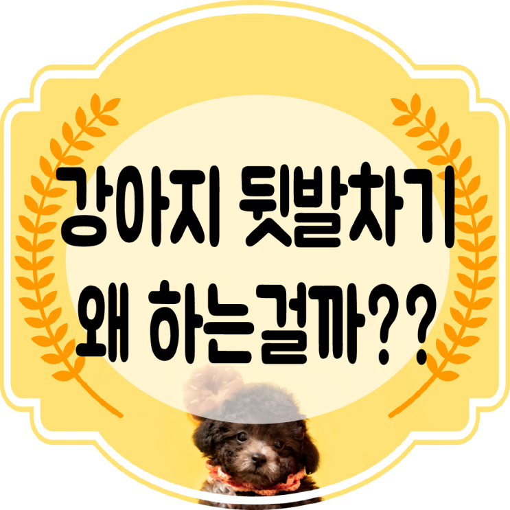  강아지 뒷발차기 행동 왜 하는걸까??
