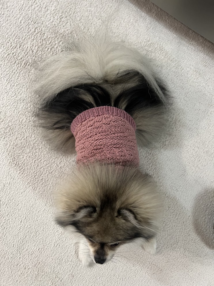  엄마가 떠 준 꾸꾸옷