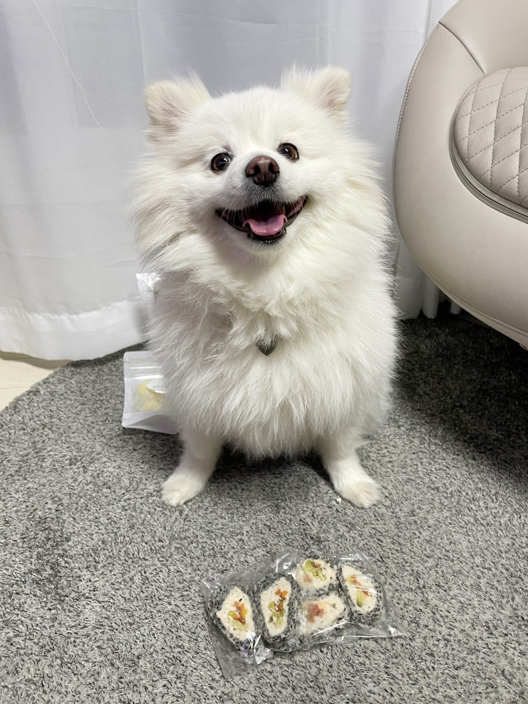  강아지 간식 - 안전하고 신선한 원료 그대로를 담은 프리미엄간식 강아지김밥 곡식이네수제간식