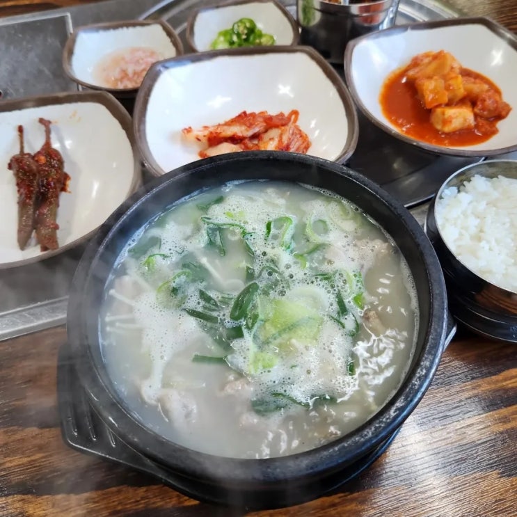  [청주 / 비하동 ] 청주 순대 국밥 맛집 정 넘치는 곳 : 박가네 순대