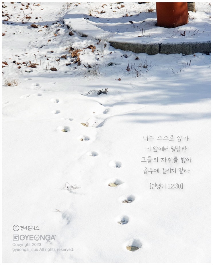  어떤 자취