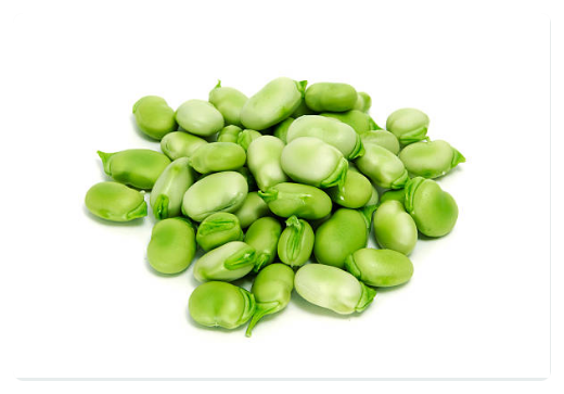 콩의 일종 파바콩(Faba bean)은 무엇일까? 효능, 부작용과 영양소를 알아본다.