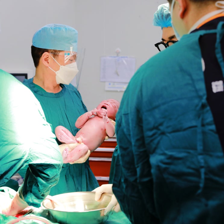 전문직 종류 및 연봉 순위 (의사 한의사 변호사 공인회계사 감정평가사 등) 전문직 종류 및 연봉 순위 (의사 한의사 변호사 공인회계사 감정평가사 등)