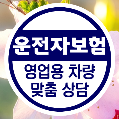  법인 개인 택시운전자보험 및 화물차운전자보험 가입 시 괜찮은 비용으로 가능한 회사는 어디?