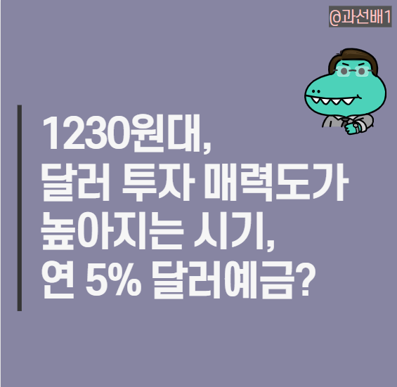  1230원에서 시작하는 달러 투자 방법 KB은행 외화 예금 적금 비교 (연 5%)