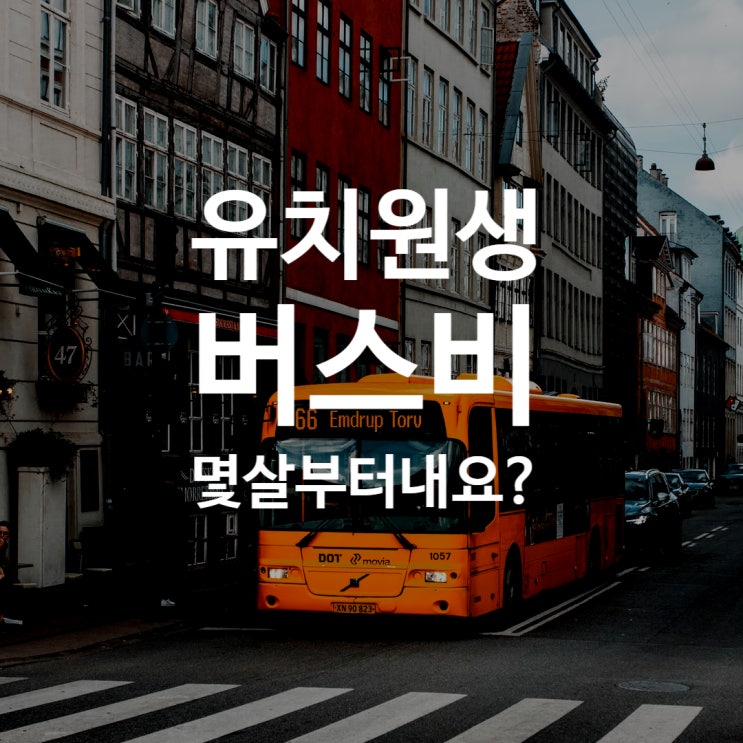  유치원생 버스비