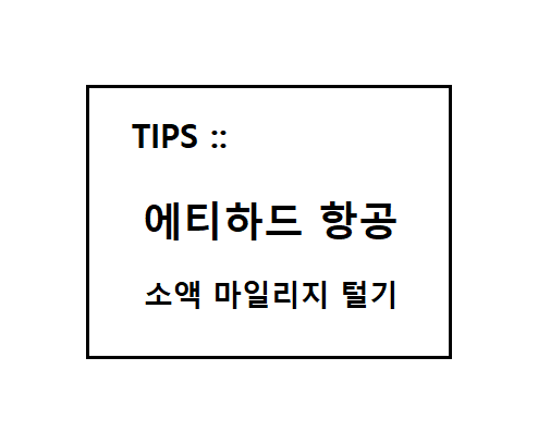  [정보] 에티하드 소액 마일리지 사용하기 (게스트리워드샵/쇼핑/항공권/마일리지가치)