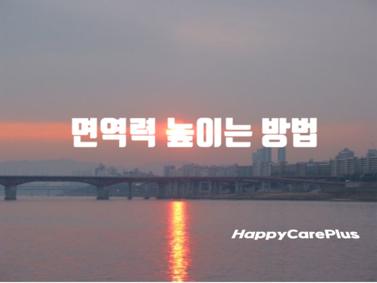  면역력 높이는 방법- 점막/ 호중구/ 림프구/ T세포/ NK세포