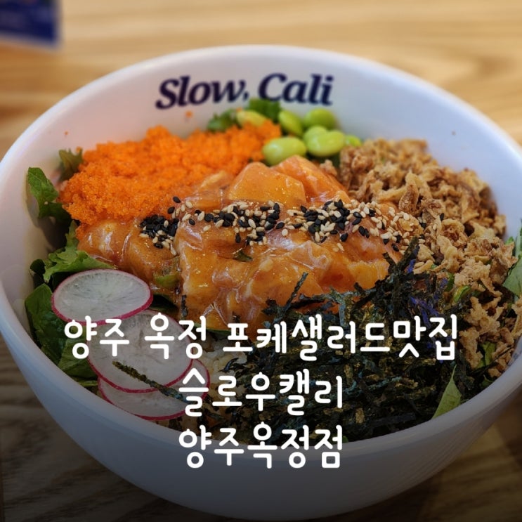  양주 옥정 포케샐러드맛집 슬로우캘리 후기 (폴리프라자 주차팁 포함)