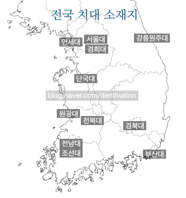 한국에 있는 모든 치과대학 이름과 위치 (전국 치대 11개)
