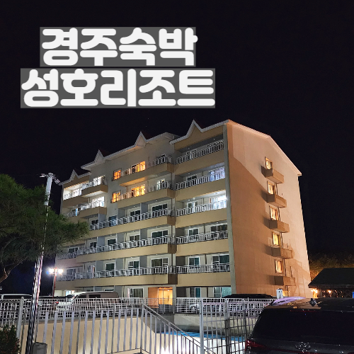  경주 성호리조트 패밀리 가족 숙박 만족 불국사근처숙박