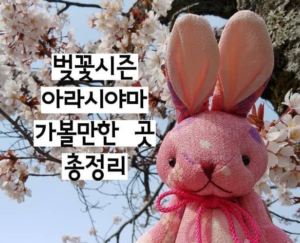  [교토 아라시야마 여행] 치쿠린 대나무숲, 도게츠교, 아라시야마 공원, 란덴열차 타고 나오기 (벚꽃시즌 가볼만한곳 총정리)