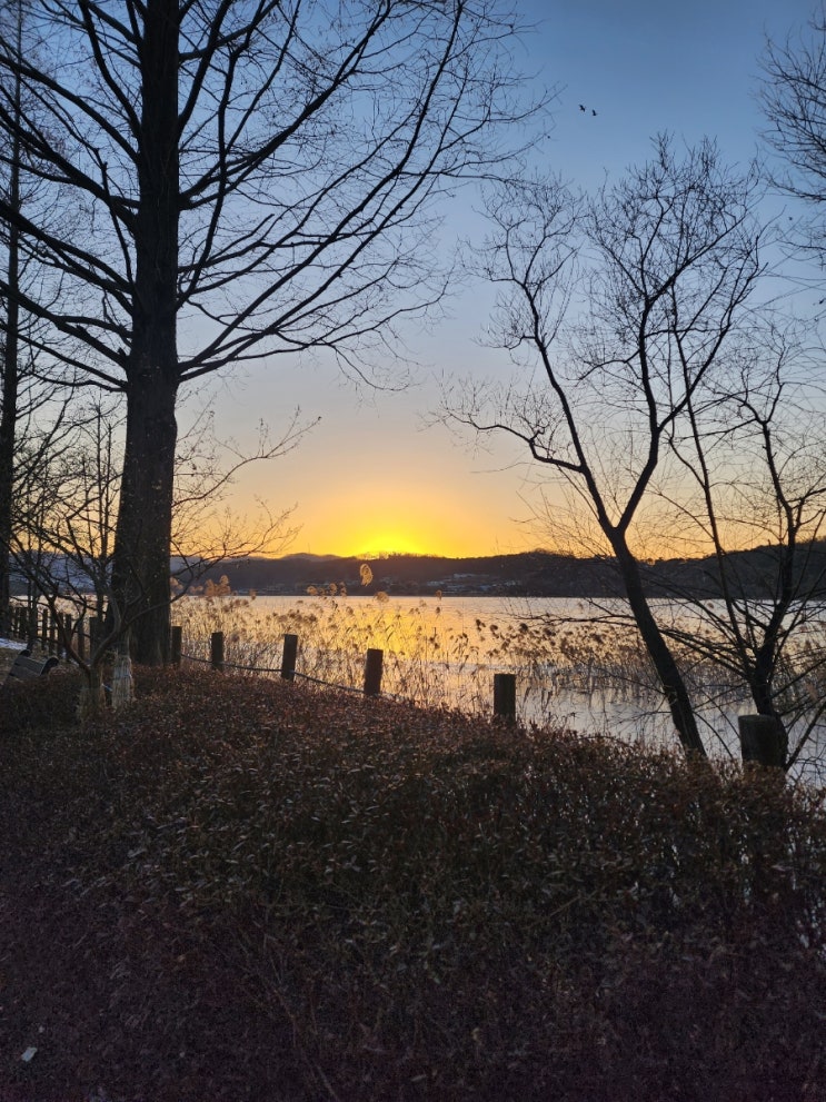  걷기 운동 일지 1