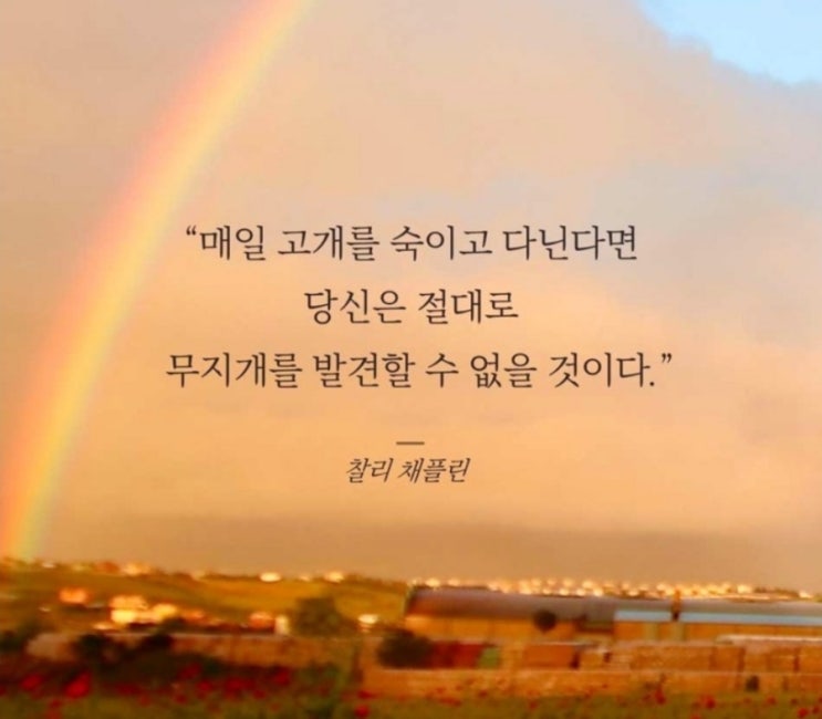  부거사이 [부동산 뉴스와 블로그] 1월 31일 (화)