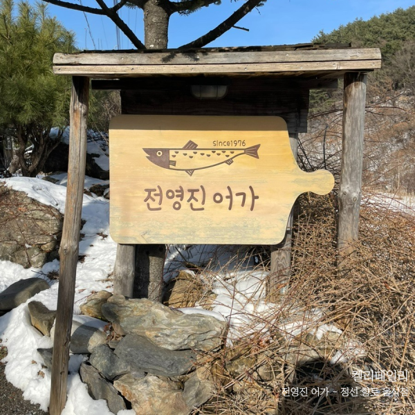  강원도 정선 맛집 전영진 어가 메뉴 예약 향어백숙