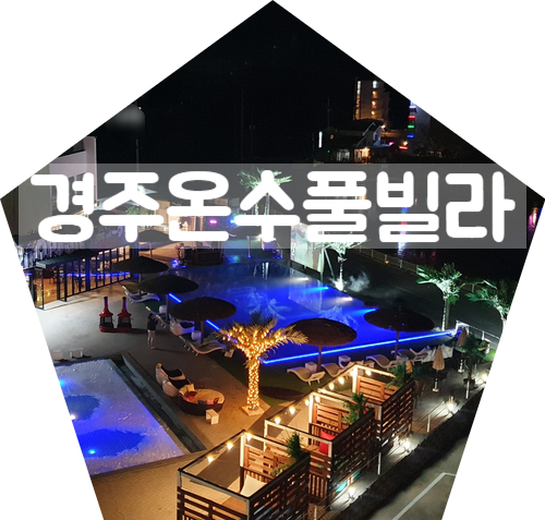  경주 프라이빗 온수풀 펜션 숙소 따듯했던 오푸스 11 수영장, 객실리뷰