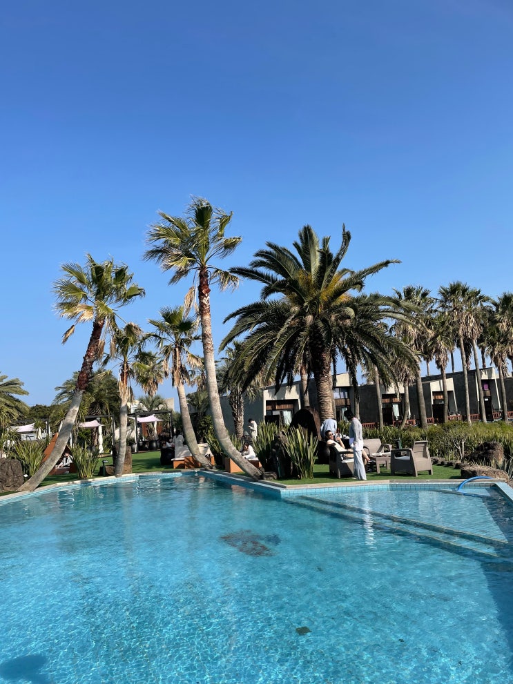  제주도 2박3일 여행코스, 비용 총정리 (동쪽 코스: 구좌 우도 성산 서귀포 중문 ) + 파일첨부