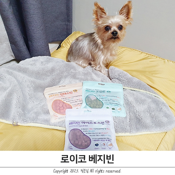 강아지노즈워크간식 딱 좋은 로이코 베지빈 강아지노즈워크간식 딱 좋은 로이코 베지빈
