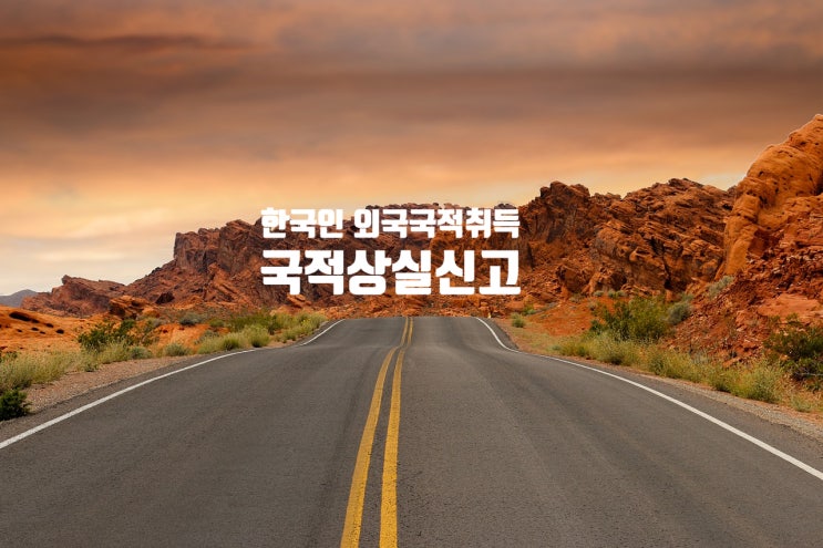 국적상실신고 한국국적에서 외국국적취득 후 대한민국 국적 상실신고방법(미국) 국적상실신고 한국국적에서 외국국적취득 후 대한민국 국적 상실신고방법(미국)