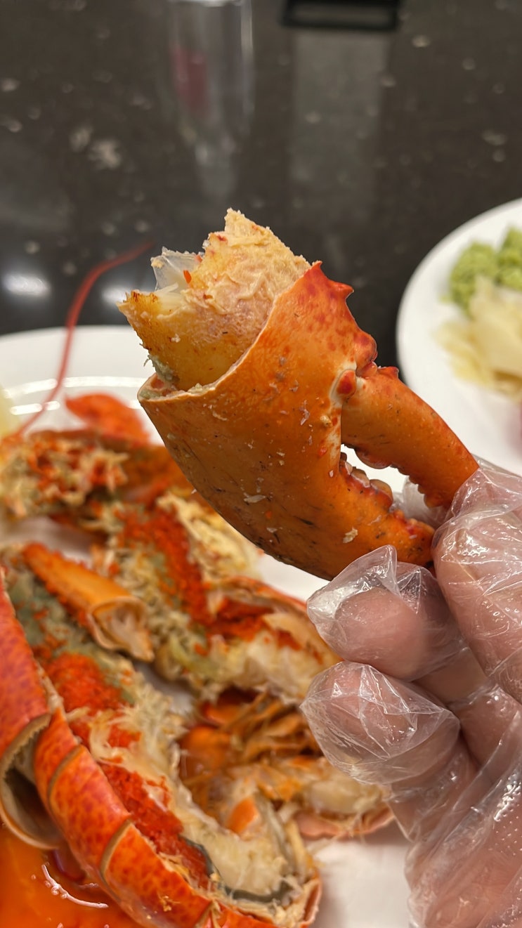  [강남맛집,해산물뷔페] 요즘 바이킹스워프 어떻게 변했을까? /예약,맛있게 먹는 팁, 솔직리뷰