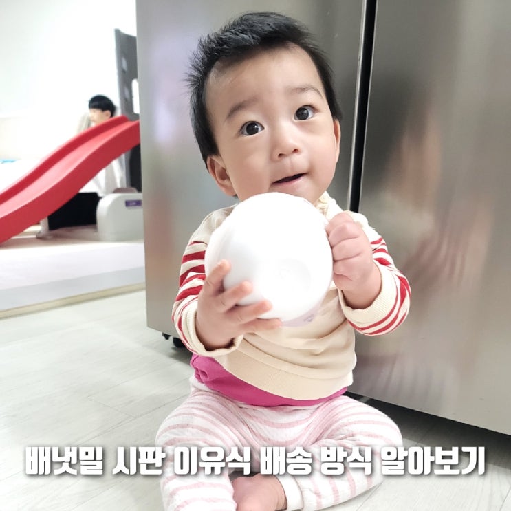  배냇밀 시판 이유식 배송 방식 (일주일에 1회~3회 가능)