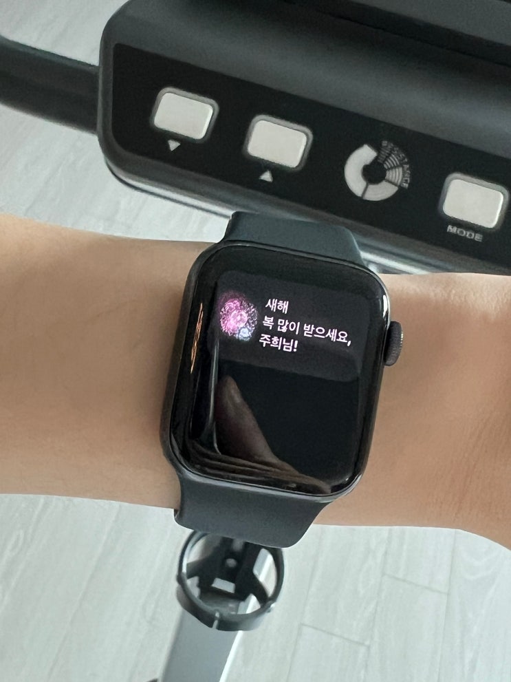  1월 일상 | 새해기념 친구들 만나고 맛난거 먹고 운동 시작