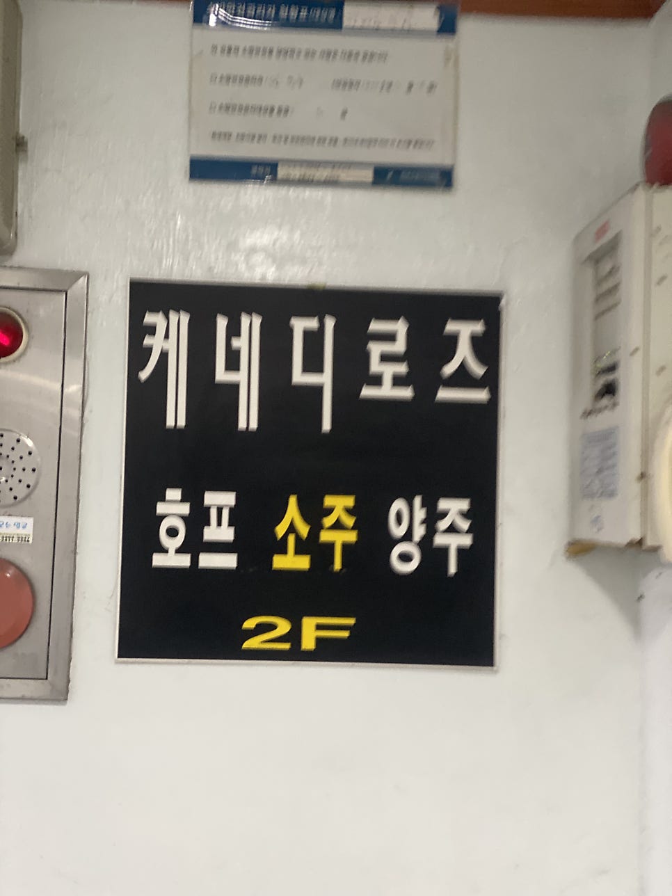 케네디로즈 사진 3