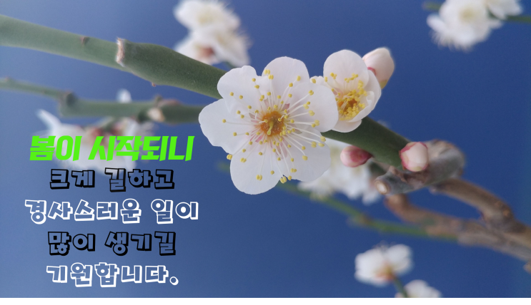 봄이 시작되니 크게 길하며 좋고 경사스러운 일이 많이 생기길 기원합니다_'입춘대길 건양다경(立春大吉 建陽多慶)'_환기타임즈(다올시스템) 봄이 시작되니 크게 길하며 좋고 경사스러운 일이 많이 생기길 기원합니다_'입춘대길 건양다경(立春大吉 建陽多慶)'_환기타임즈(다올시스템)
