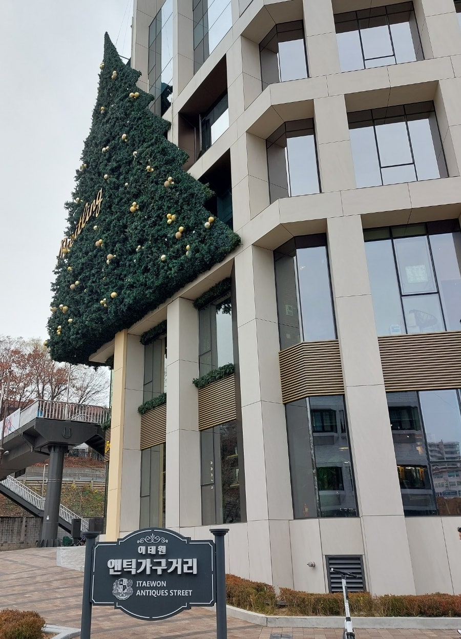 더폼 사진 2