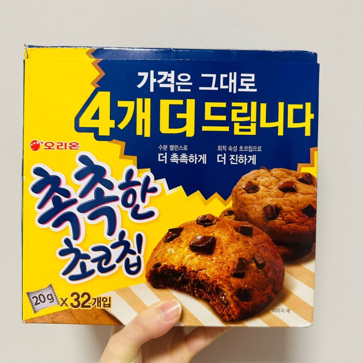  "오리온 촉촉한 초코칩"