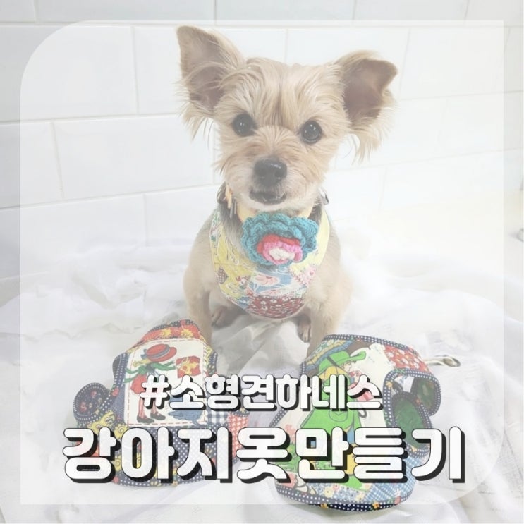  강아지옷만들기 새끼강아지하네스 도안