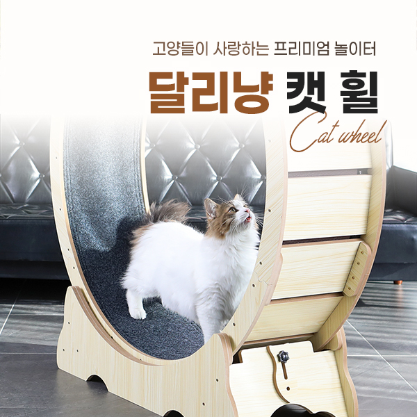  달리냥 캣휠 고양이 반려묘 냥이 Cat 상세페이지