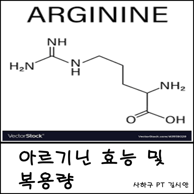 아르기닌 복용량 아르기닌 효능 사하구 피티