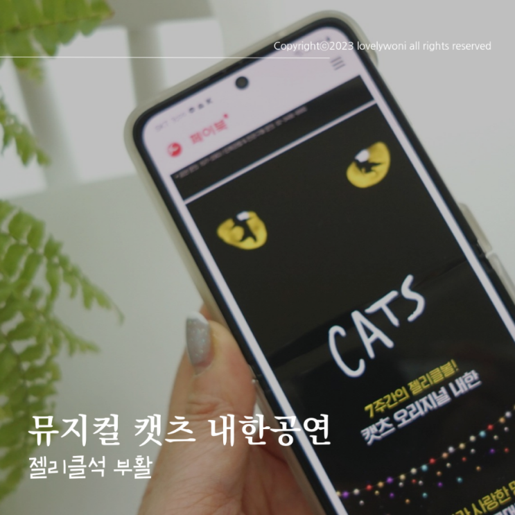 2023 뮤지컬 캣츠 CATS 내한공연 서울 티켓할인 젤리클석 예약성공 꿀팁