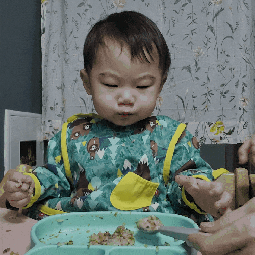위마잇비타이니 유아식 흡착 식판과 유아 수저세트로 자기 주도 이유식 연습하기
