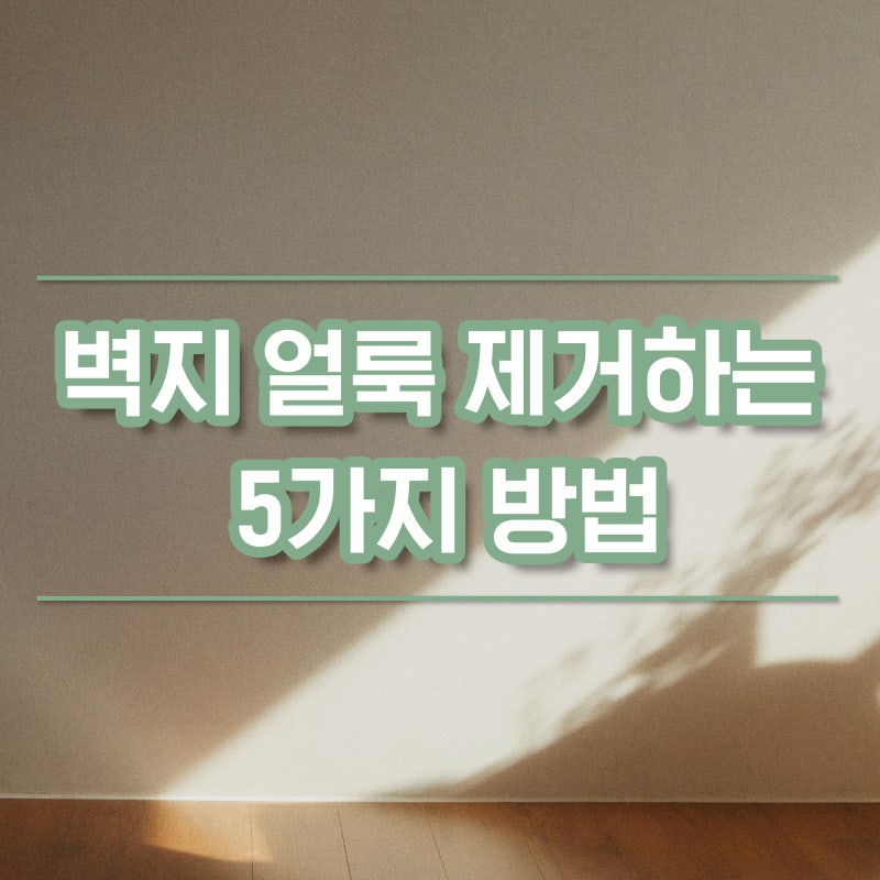 실크 합지 벽지 볼펜,크레파스,기름때 등의 얼룩을 제거 할 수 있는 5가지 방법!