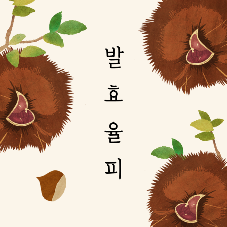 발효율피 부작용 효능 알아보고 추출분말로 갱년기 다이어트 시작해요 발효율피 부작용 효능 알아보고 추출분말로 갱년기 다이어트 시작해요