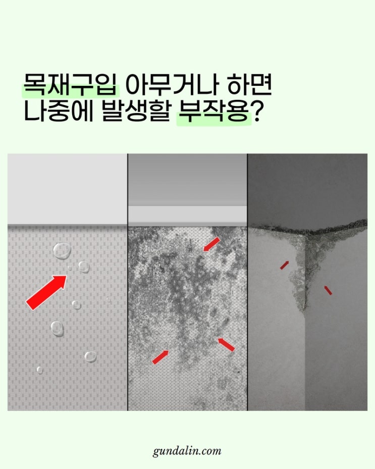  목재 구입 아무거나 하면, 나중에 발생할 2가지 부작용! (#다루끼 #합판)