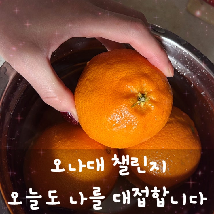  오나대(오늘도 나를 대접합니다) 챌린지