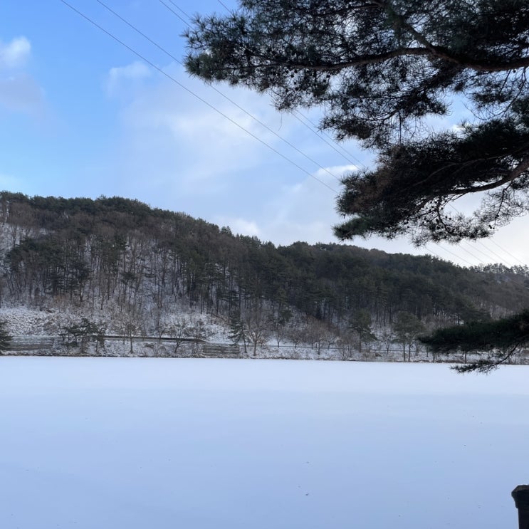  일상기록 #30. 소화불량 때문에 평소보다 음식 사진이 많이 없던 나날들