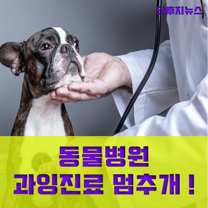  동물병원 과잉진료 멈춰!