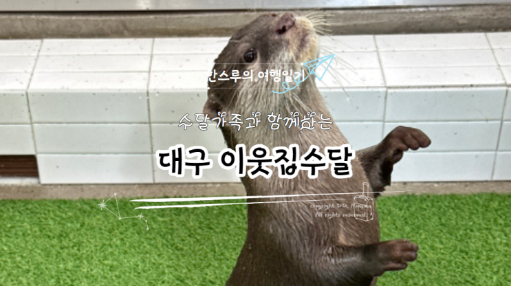[대구광역시] <b>수달가족</b> 보러 대구올래? 다양한 동물들을... 