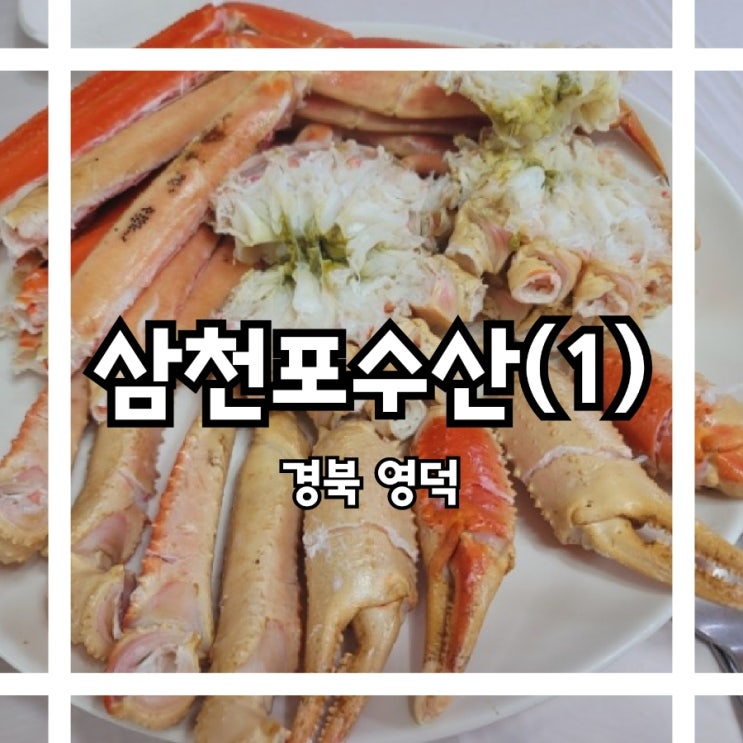  영덕맛집 강구항 영덕대게 킹크랩 홍게 대게맛집