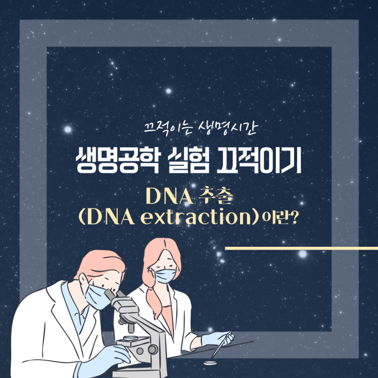  끄적이는 생명시간의 Genomic DNA 추출의 원리와 단계 쉽게 알아보기!